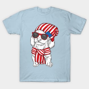 dog hat scarf USA T-Shirt